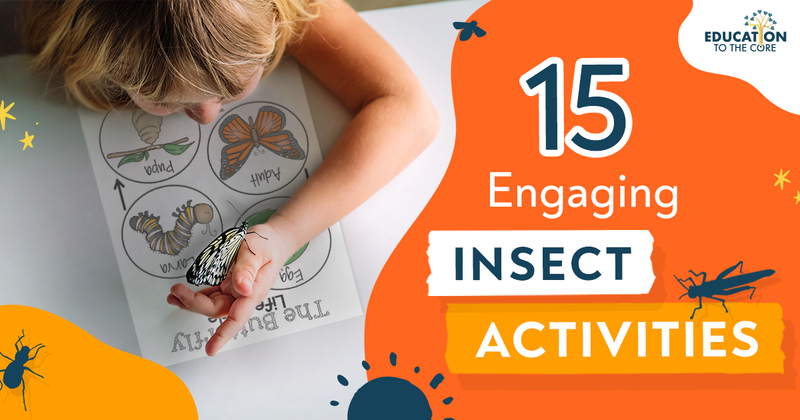 15 Engaging Insect Activities