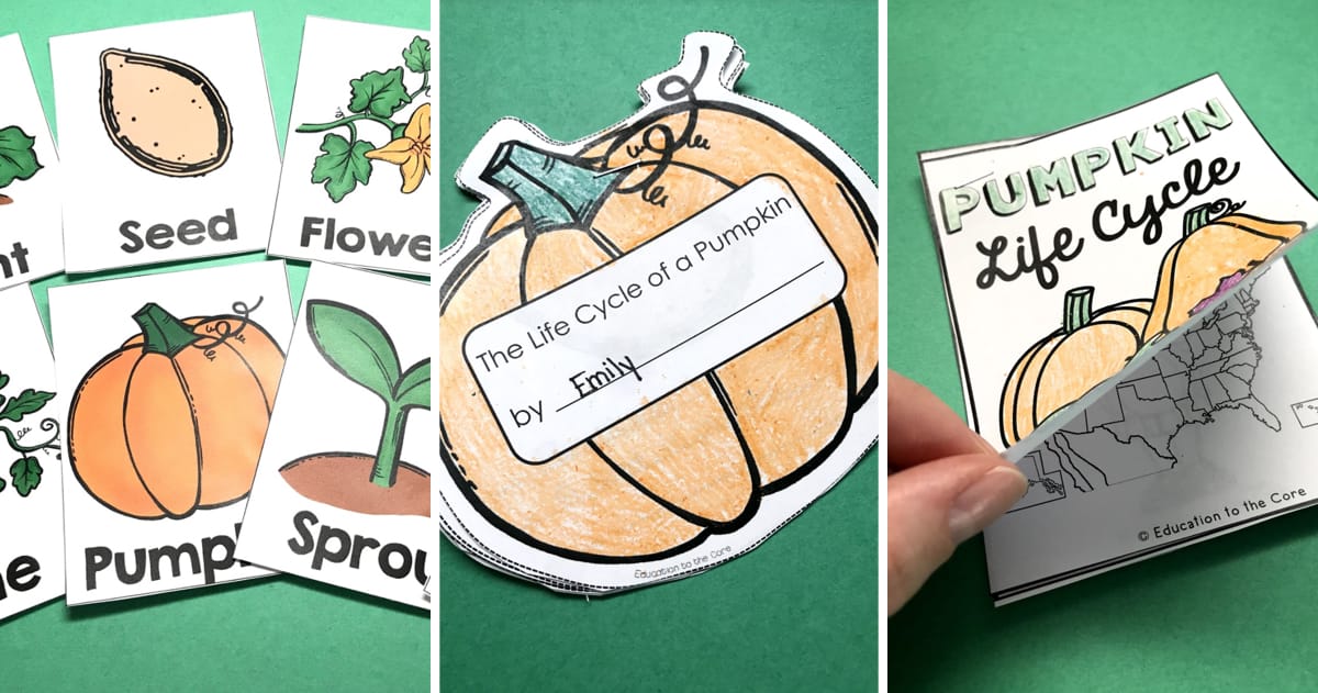 Pumpkin Life Cycle ActivitiesPumpkin Life Cycle ActivitiesPumpkin Life Cycle BookPumpkin Life Cycle Activities