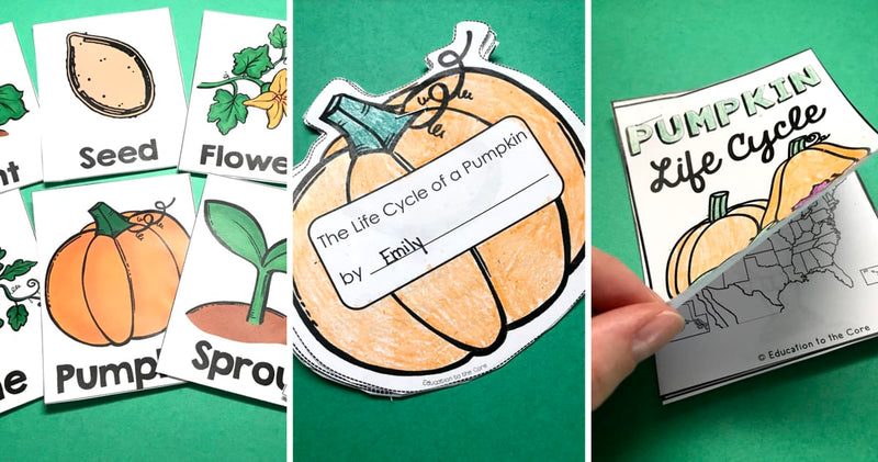 Pumpkin Life Cycle ActivitiesPumpkin Life Cycle ActivitiesPumpkin Life Cycle BookPumpkin Life Cycle Activities