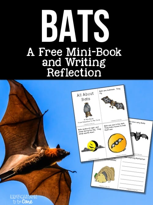 Bats: A FREE Mini-Book and Writing Reflection