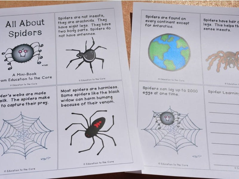 Spiders: A FREE Mini-Book and Writing Reflection