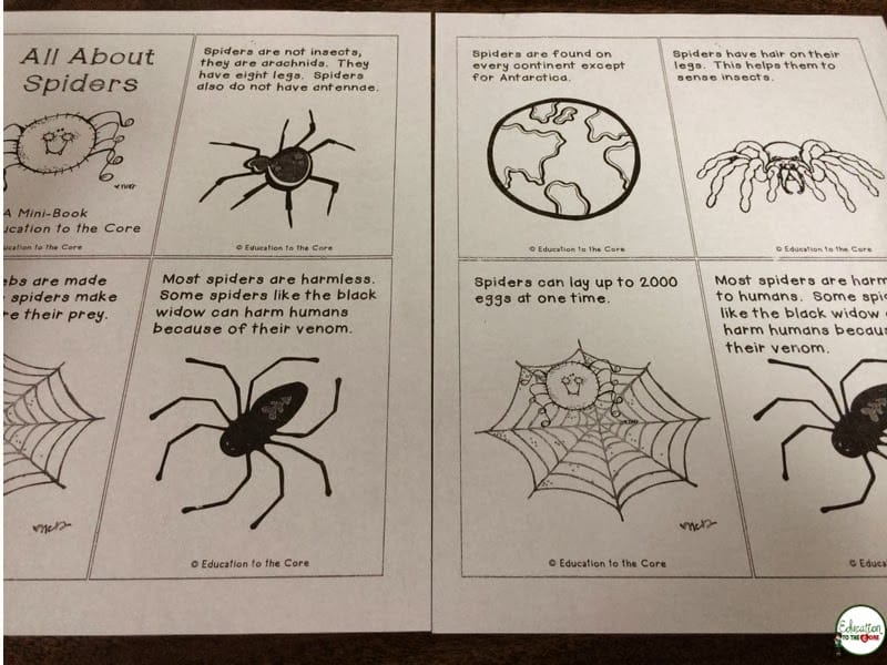 Ideas for Celebrating the October Season and a FREEBIE!