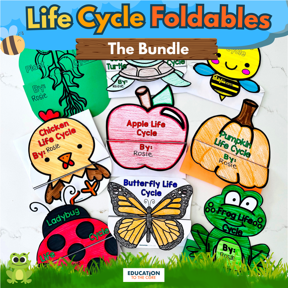 Life Cycle Foldables Bundle