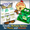 Life Cycle Foldables Bundle