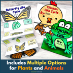 Life Cycle Foldables Bundle