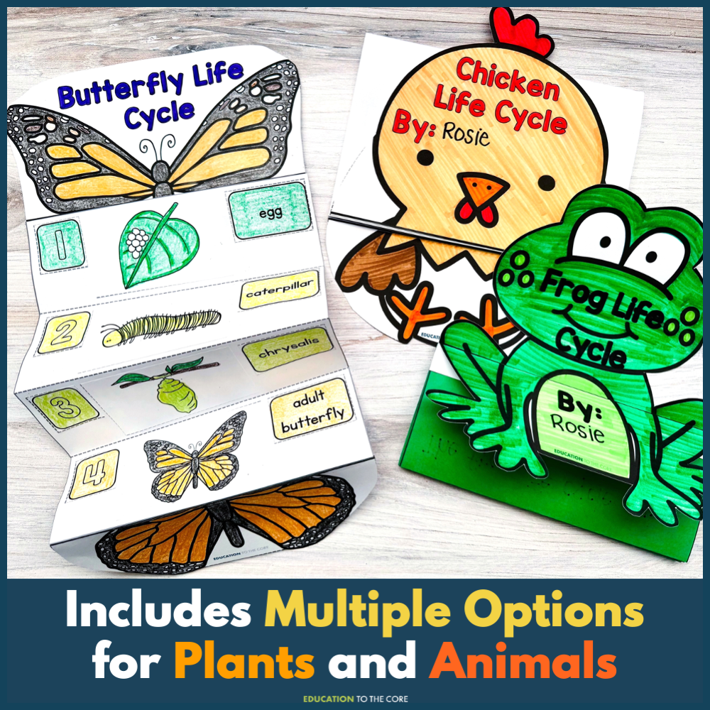 Life Cycle Foldables Bundle