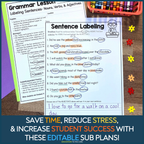 Second Grade Editable Sub Plans